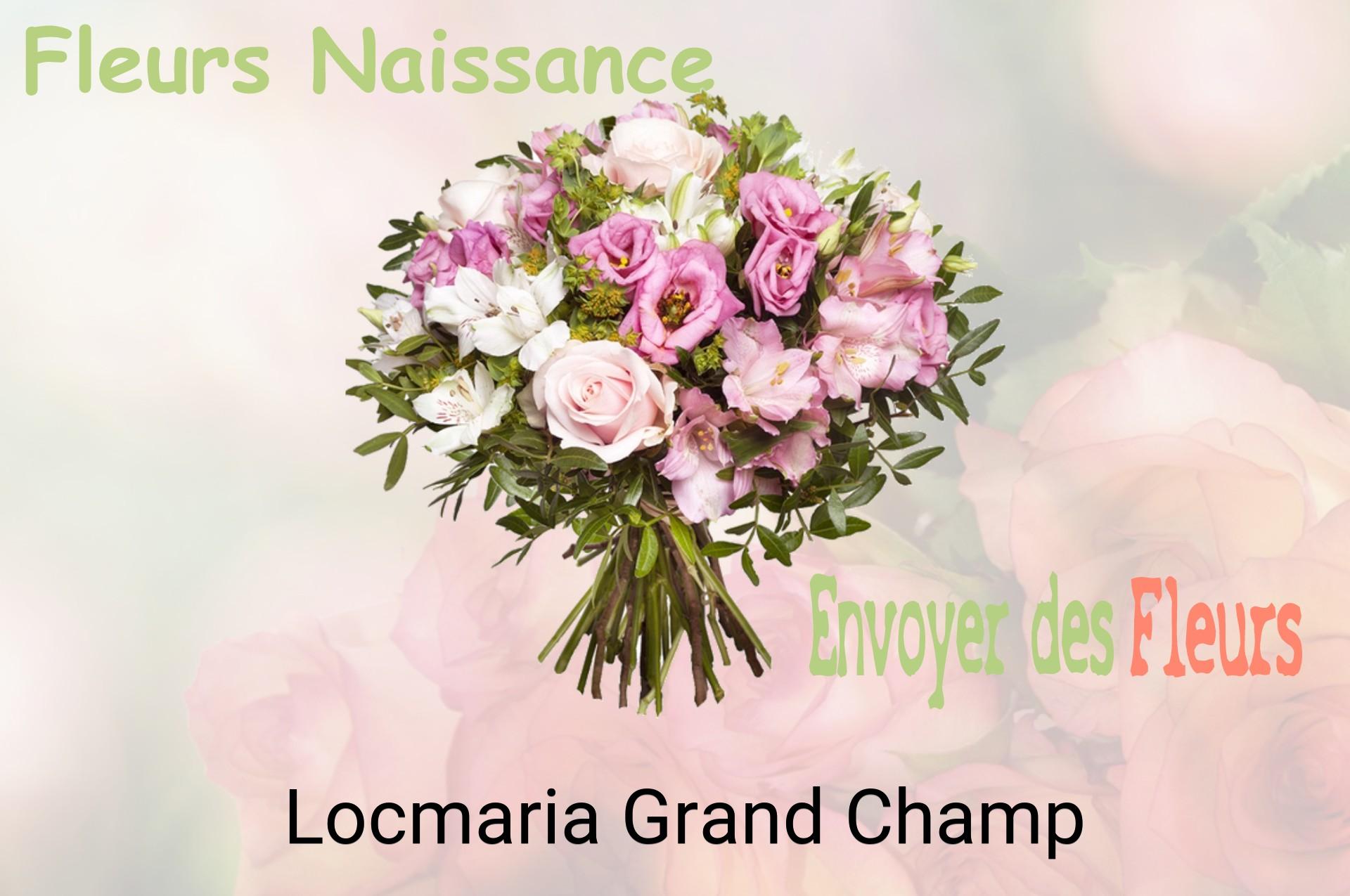 Bouquet de fleurs de naissance livré à Locmaria-Grand-Champ