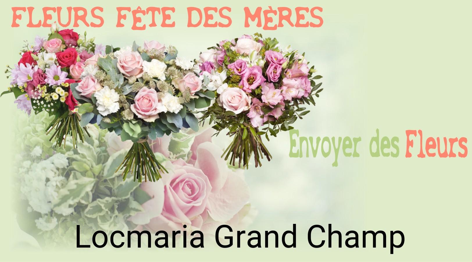 Bouquet de Fête des Mères livré à Locmaria-Grand-Champ